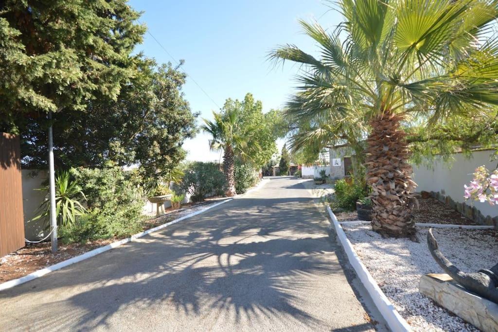 הוילה קוניל דה לה פרונטרה Casas Paqui Y Pablo Con Piscina Compartida En Conil מראה חיצוני תמונה
